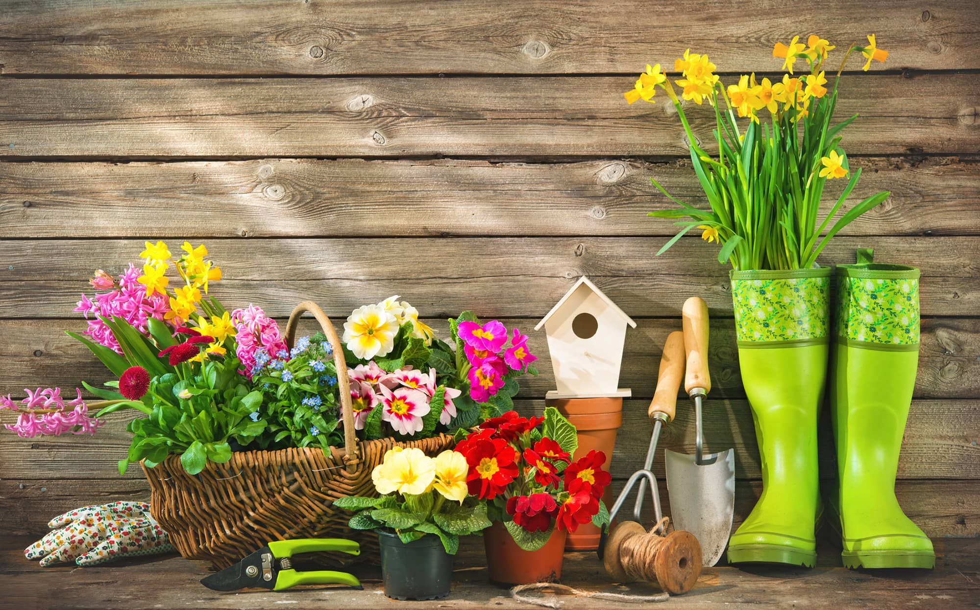 How to Present Your Garden When Selling Your House